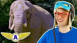 COMPILATION: Captain Ace Zoomy Learns About Animals, Colors and Spelling + MORE 🛩 Songs For Kids