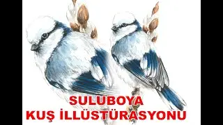 Suluboya Kuş İllüstürasyon