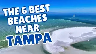 The 6 Best Beaches Near Tampa (And Why Locals Love Them)