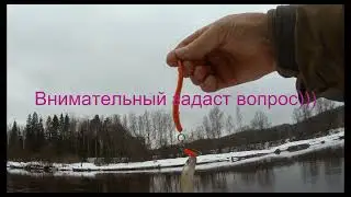 Лосось , маленькие приключения.