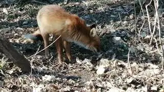 Отправить