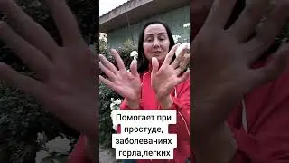 Супер гимнастика для рук и для всех внутренних органов,делайте каждый день и будьте здоровы