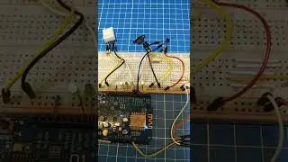 Web server esp8266
