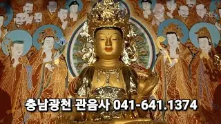 관음사 부처님 관음보전 마애보살 산신각 감로수 ...고즈넉한 경내 가을 정취. 041-641-1374