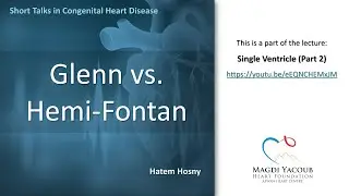 Glenn vs. Hemi-Fontan - Hatem Hosny
