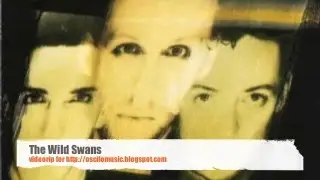 thewildswans
