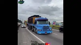 CURTA METRAGEM DE CAMINHÃO #434 {VÍDEOS DE CAMINHÃO PARA STATUS} •NA ONDA DO REGGAe🤪