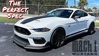 This Mach 1 is PERFECT..  Here's Why!  (Handling Pkg Manual)