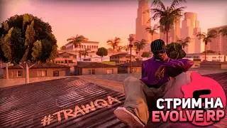 играем gta по сети на  evolve  rp