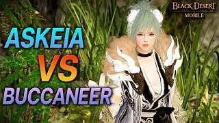 ASKEIA VS BUCCANEER | Black Desert Mobile | GGWP
