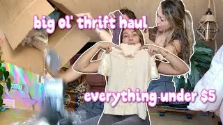 BIG Thrift Haul ☆ Everything Under $5