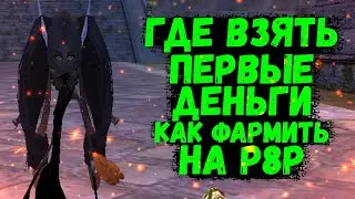 ГДЕ ВЗЯТЬ ПЕРВЫЕ ДЕНЬГИ ИЛИ КАК НАФАРМИТЬ НА Р8Р Comaback 1.4.6 X Perfect World