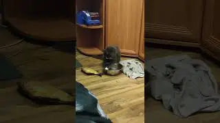 ложку ннада?