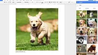 Explore and Research in Google Docs