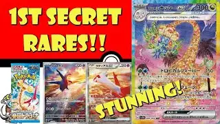 FIRST Stunning Secret Rares from Paradise Dragona Officially Revealed! (HUGE Pokémon TCG News)