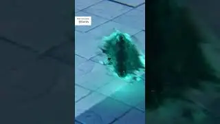Genshin Impact гаснущие сумерки 