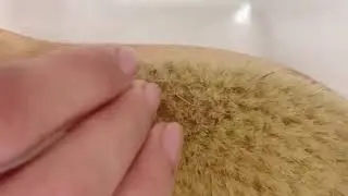 Щетка для сухого массажа Dry Brush