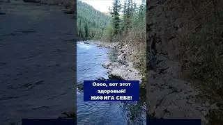 РЫБАЛКА НА ХАРИУСА! Новое видео уже на канале! 
