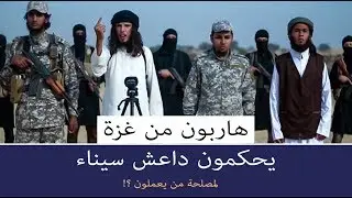 هل تعمل داعش سيناء لمصلحة اسرائيل!!