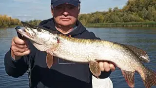 Эффективный микроджиг. Настоящая рыбацкая уха.