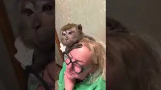 К нам в гости пришла поздравить Жору наша подруга Лия 🫶🎉🎊Жора ее очень любит 
