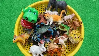 Brinquedos de plástico - Nome e sons dos animais - Sons de animais engraçados