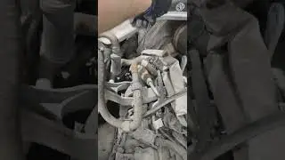 Звук, как от сверчка на Porsche