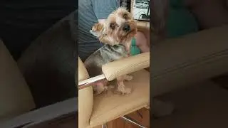 Когда тебе тоже срочно нужно сесть именно на это кресло😂 