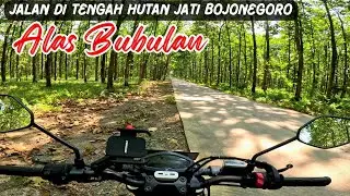 Jalur Alas Bubulan Bojonegoro