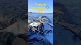 9 ноября 2023 г.