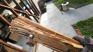 [workshop build-out - pt03] TERMITES! fixing some issues and trying to get it done.