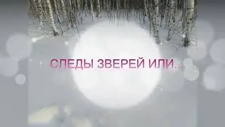 СЛЕДЫ НЕВИДАННЫХ ЗВЕРЕЙ ИЛИ КТО ПРОШЕЛ?!...