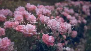 Johnny Joestar - C'est La Vie (The Way I Feel About You)