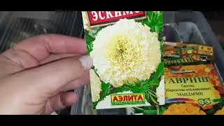 КАКИЕ КУЛЬТУРЫ БУДУ СЕЯТЬ В ГРУНТ/ /ОБЗОР РАССАДЫ НА 13 АПРЕЛЯ .