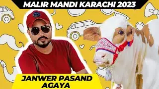 Malir Mandi Karachi | janwer pasand agaya | Mandi k rate Bohat high hain 🙁