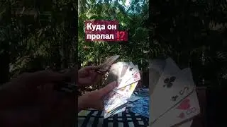 Чем занят твой мужчина ⁉️ Куда он пропал?