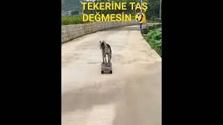 TEKERİNE TAŞ DEĞMESİN 🤣