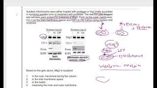 PAPER DISCUSSION EVENING SHIFT CSIR NET LIFESCIENCE 2024