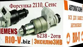 Форсунка 2110, Сенс 6238 2 отв  | Автомир Волноваха RIOV.parts