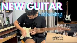 My First Brand New Guitar | Schecter Nick Johnston Signature Guitar Unboxing (Mizo)