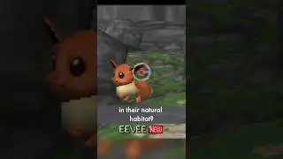 Pokémon’s Most Unique Spinoff!