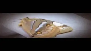 Border Security Canada's Front Line 2012 Season 3 Episode 22