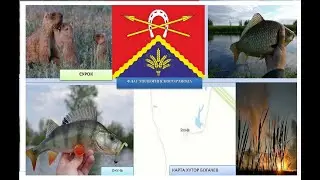 Рыбалка возле хутора Богачев. Милютинского района Ростовской области 