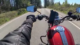 Mount Rainier run 1 .  Off mountain hwy #harley #sportster #riding #rider #motorcycle #ridelife 