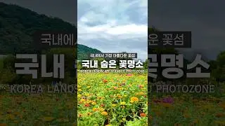 국내에서 가장 아름다운 꽃섬 추천!