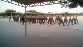 Drill ASF trainee