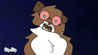 Finch animation by pink