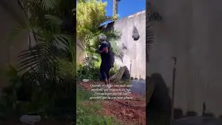 Só mais uma plantinha resgatada! #plantas #plantinhas #plantinha #casa #jardim