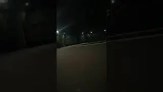 Медведь вышил из спячки