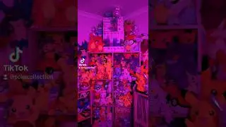 POV: PokeCollection Pokémon + Pop Culture Studio Zen!